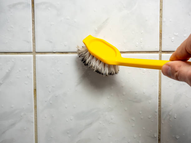 Best Affordable Mold Removal  in Waxhaw, NC