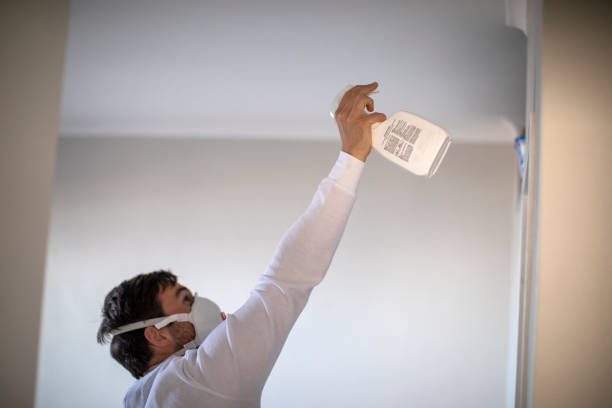 Best Mold Removal and Inspection  in Waxhaw, NC